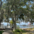 Preserving the Environment in Fairhope, Alabama: A Guide to Making a Difference